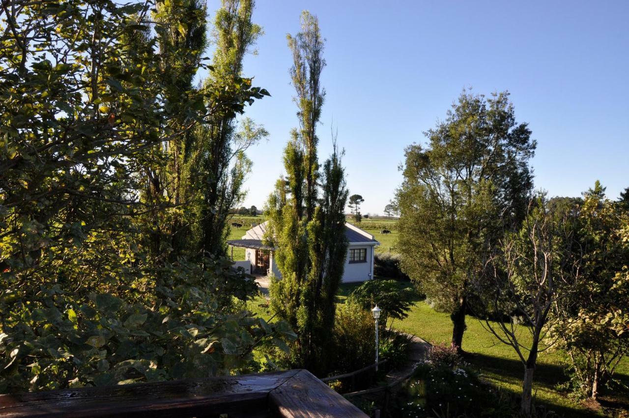 Tsitsikamma Gardens Cottages Self-Catering Cottages Sanddrif ภายนอก รูปภาพ
