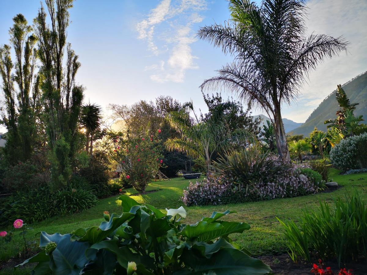 Tsitsikamma Gardens Cottages Self-Catering Cottages Sanddrif ภายนอก รูปภาพ